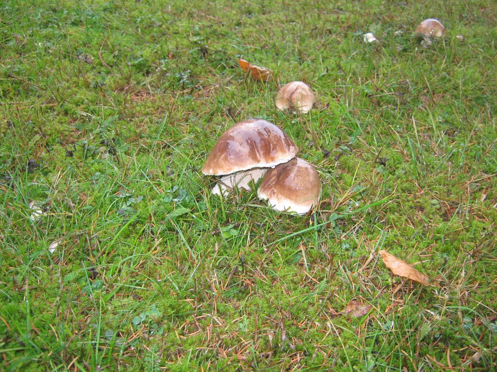 Penzion Pod Dobakom Lazisko Exterior photo